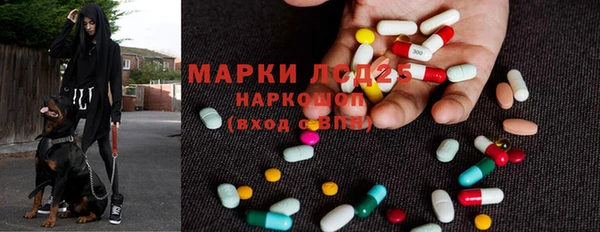 mdma Бородино